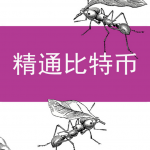 精通比特币(第一版)
