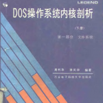 DOS操作系统内核剖析 (下册)_黑客教程