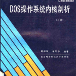 DOS操作系统内核剖析 (上册)_黑客教程