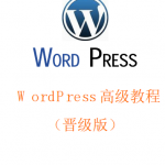 WordPress高级教程(晋级版)中文PDF_PHP教程