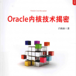 Oracle内核技术揭秘_数据库教程