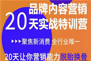 《内容营销实操特训营》20天让你营销能力脱胎换骨（价值3999）