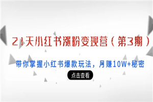 21天小红书涨粉变现营（第3期）：带你掌握小红书爆款玩法，月赚10W+秘密