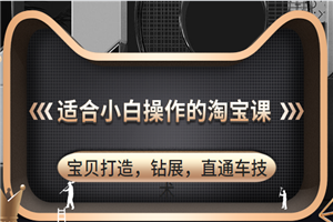 小白也能操作的高转化宝贝打造,钻展,直通车技术