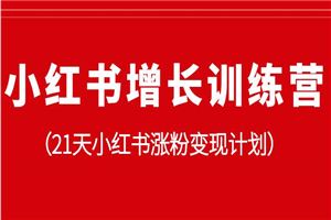 小红书增长训练营,21天小红书涨粉变现计划