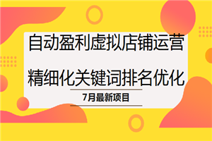 7月项目(3)自动盈利虚拟店铺运营,精细化关键词排名优化