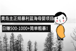 黄岛主正规暴利蓝海母婴项目,日赚500-1000+简单粗暴！