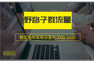 野路子群流量项目：稳定后可实现日盈利3000-5000