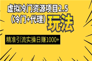 虚拟冷门资源项目2.5（冷门&代理玩法） 精准引流实操日赚1000+
