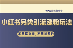雨果：不用写文章，不用拍照片，小红书另类引流涨粉玩法