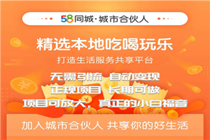 58同城城市合伙人自动赚收益项目，长期稳定，项目可放大