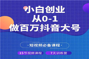 小白创业从0-1做百万抖音大号(全套实战课)