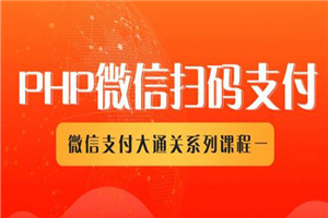 微信扫码支付系列课，支付接口接入必备技术，实现在线自动化收款