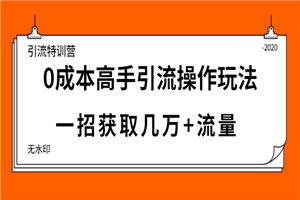 引流特训营：0成本高手引流操作玩法，一招获取几万+流量