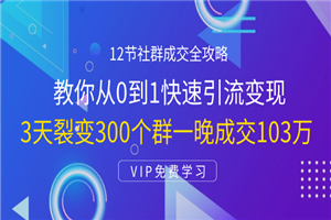 12节社群成交全攻略:从0到1快速引流变现,3天裂变300个群一晚成交103万