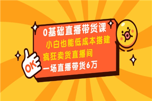 0基础直播带货课：小白也能低成本搭建疯狂卖货直播间：1场直播带货6万