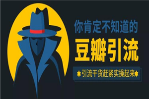 万哥豆瓣引流万能公式3.0:简单、高效、易上手、轻松搞定爆粉豆瓣贴