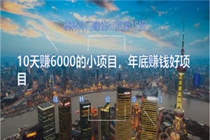 晓林冷门赚钱第15招10天赚6000的小项目，年底赚钱好项目