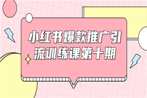 小红书爆款推广引流训练课第十期,手把手带你玩转小红书,轻松月入过万