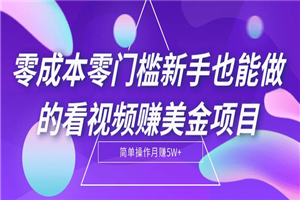 看视频1小时赚28美金零投入项目