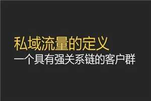 高效私域流量操盘手，马上学马上落地
