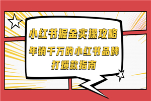 小红书掘金实操攻略，年销千万的小红书品牌打爆款指南