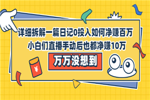 详细拆解一篇日记0投入如何净赚百万，小白们直接手动后也都净赚10万