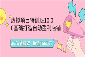 虚拟项目特训班10.0，0基础打造自动盈利店铺 36节实操课 价值1580元